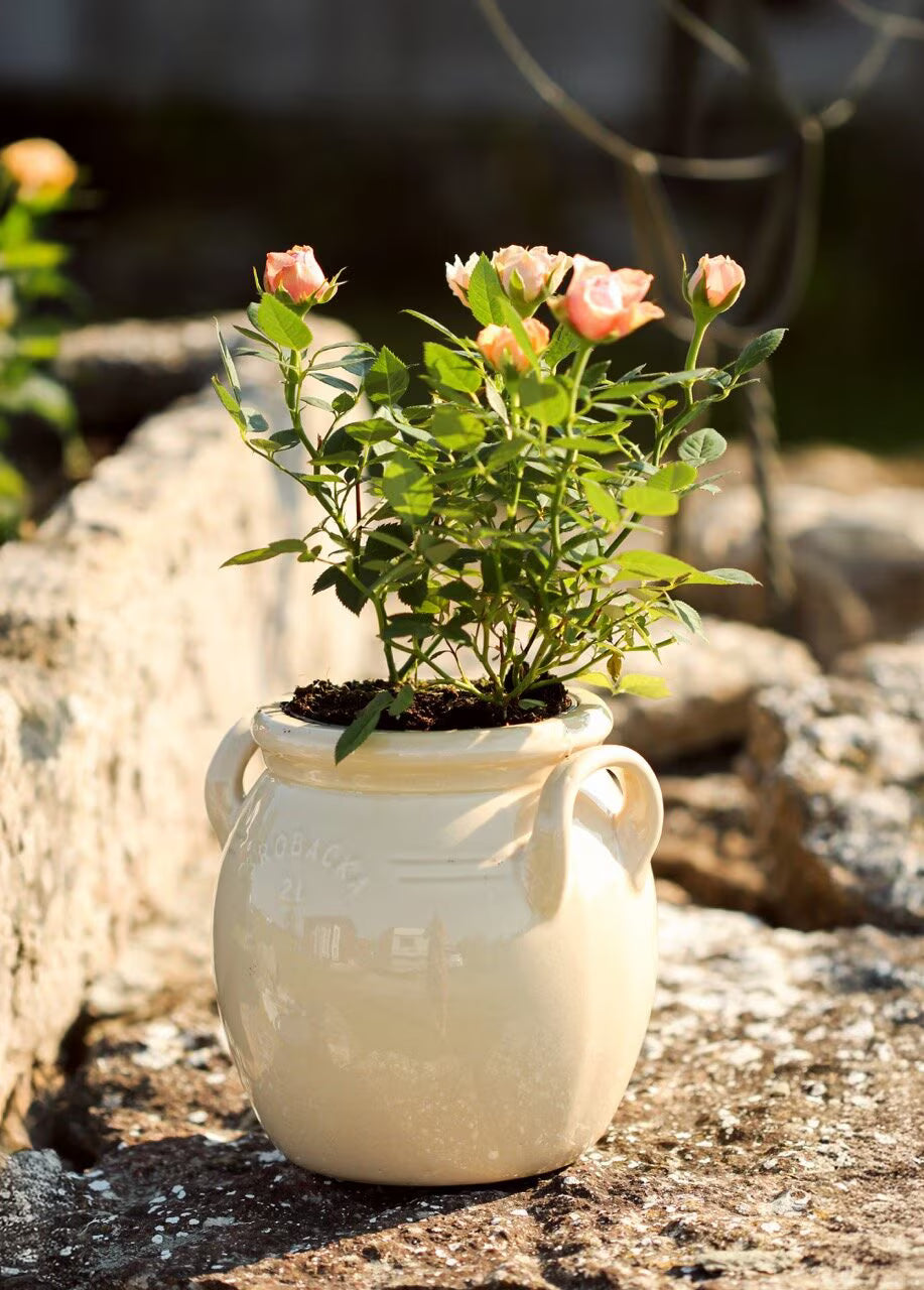Pot Brobacka 2L crème - S