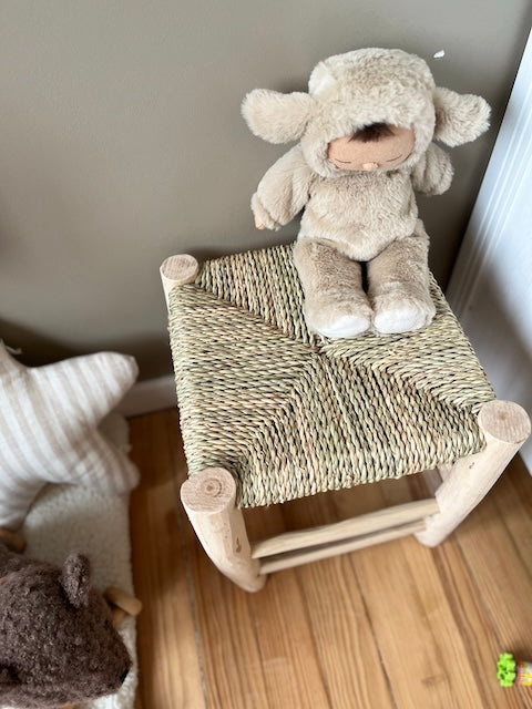 Tabouret en bois et herbier