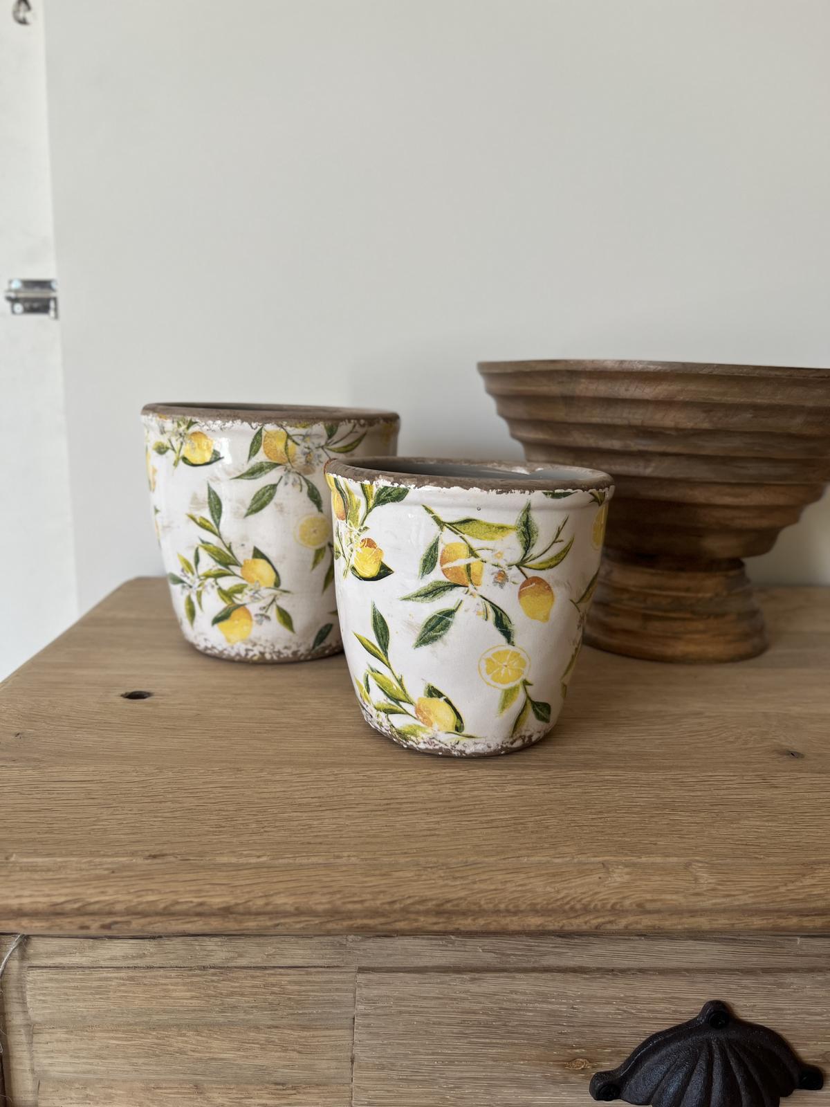 Cache pot citrons