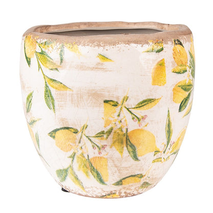 Cache pot citrons rond