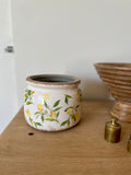 Cache pot rond citrons