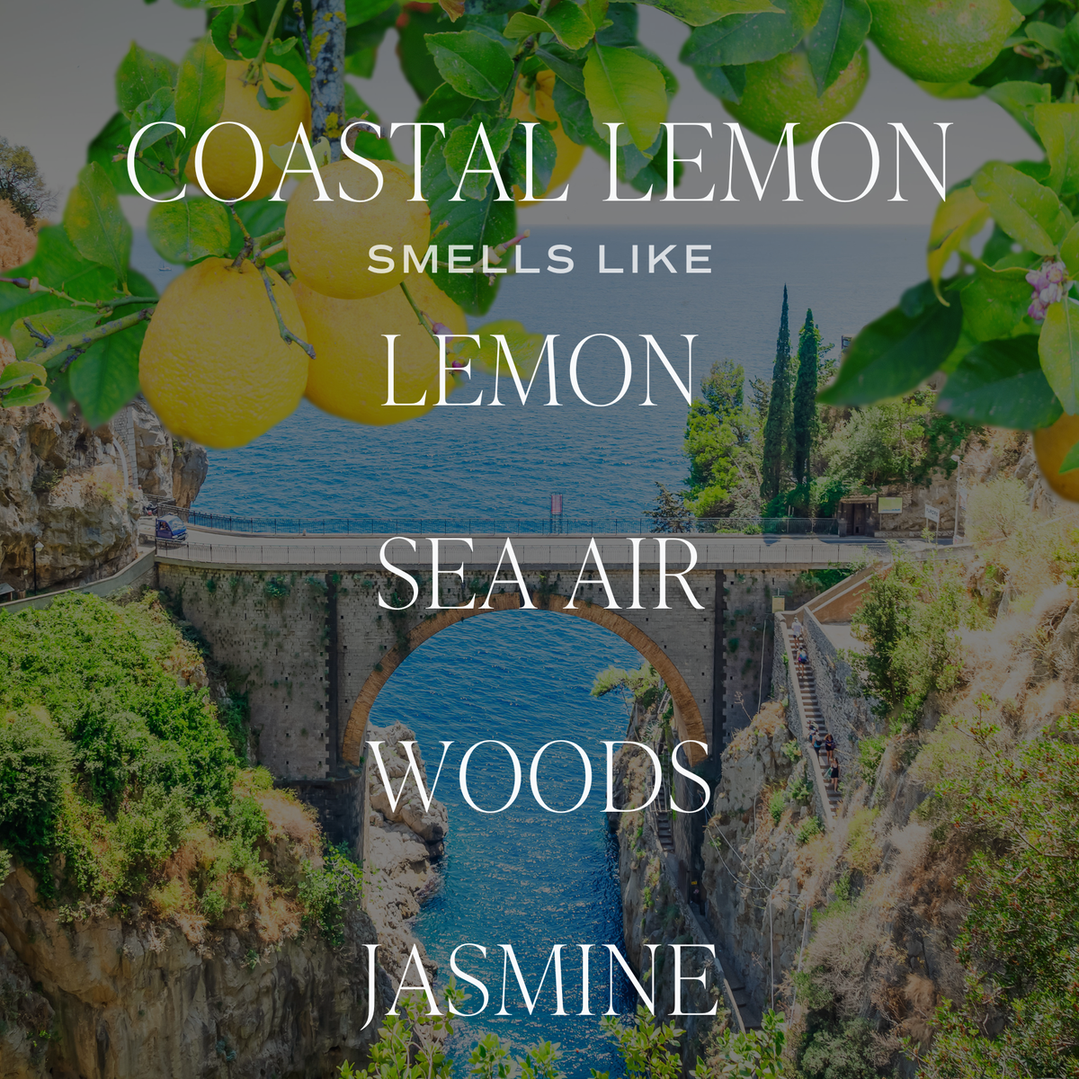 Bougie de soja Coastal Lemon - 50h