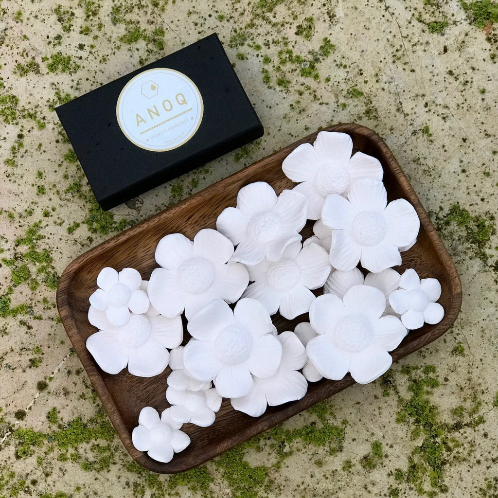 Fleurs des Maldives - Adèle & Brume